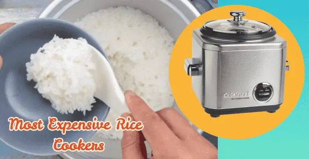 Most Expensive Rice Cookers 
